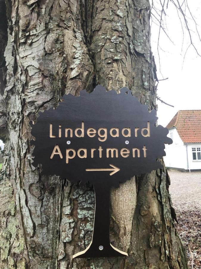 Lindegaardapartment - Woods And Sea Hejls Ngoại thất bức ảnh